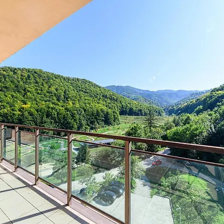 Apartment Pine Ridge Terrace Brasov